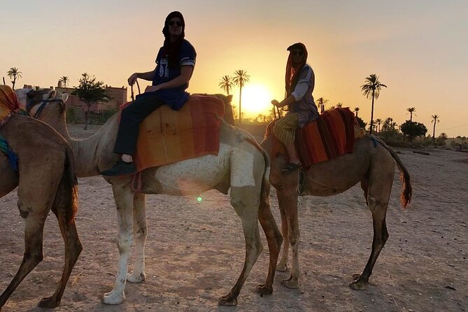 Sunset Camel Ride Tour in Marrakech Palm Grove - Scenic Sunset Stroll