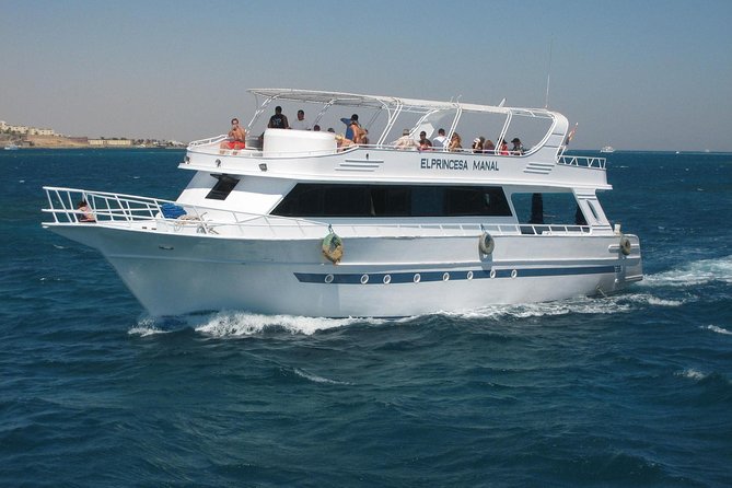 Swimming With Dolphin VIP Snorkeling Sea Trip With Lunch and Transfer - Hurghada - Cancellation Policy