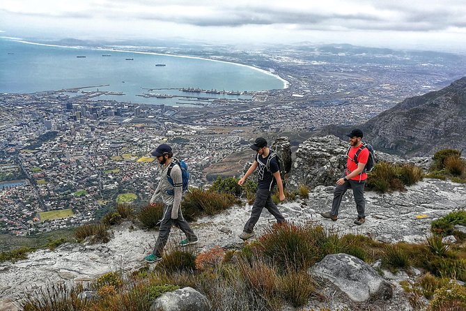 Table Mountain Adventurous Hike & Cable Car Down - Requirements and Considerations