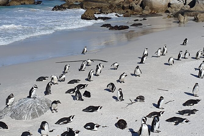 Table Mountain,Cape Point & Penguins Shared Tour, From Cape Town - Pickup Details