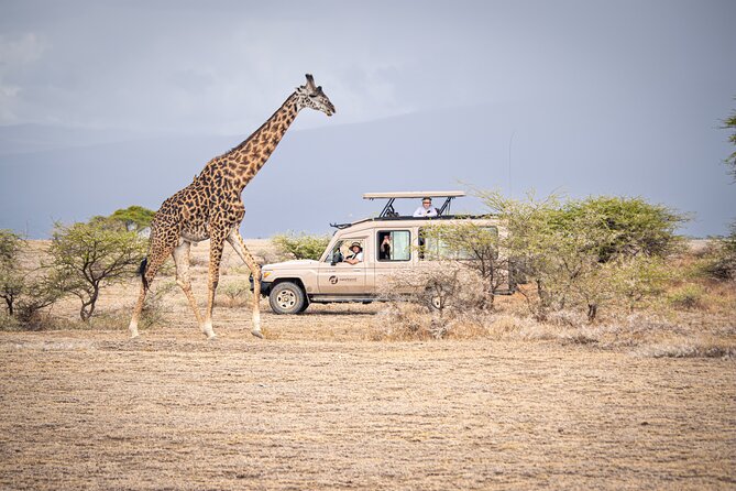 Tanzania Wildlife Encounters - 6 Days - Included Amenities