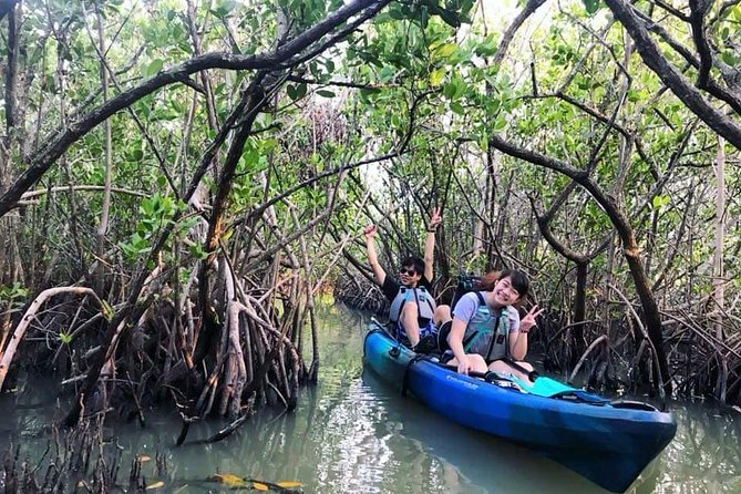 Thousand Island Mangrove Tunnel, Manatee & Dolphin Kayak Tour W/Cocoa Kayaking - Additional Information