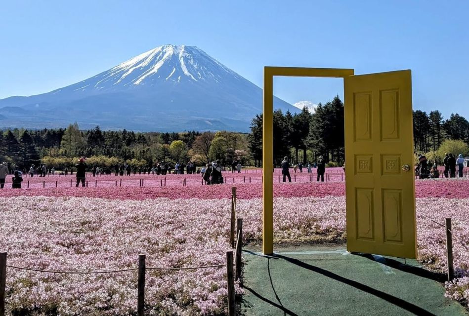 Tokyo: Mount Fuji Customizable Private Tour by Car - Inclusions