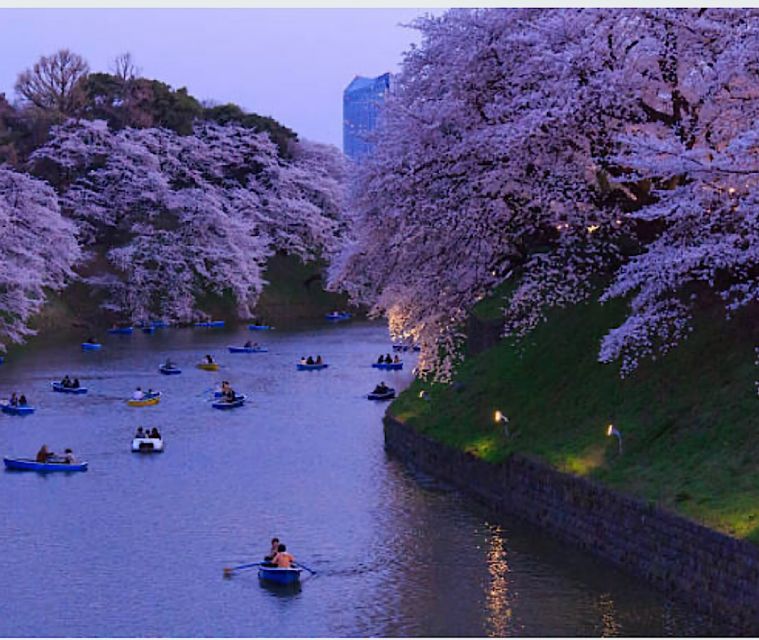 Tokyo Private Tour: Customizable (Up-To 6 Persons) - Experience Highlights