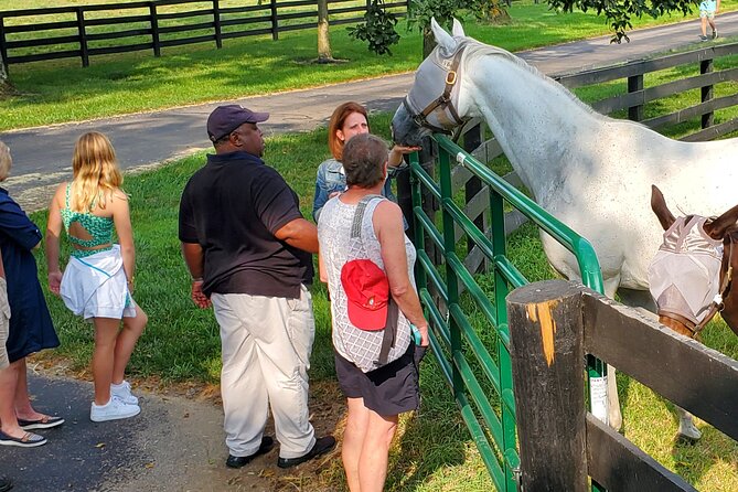 Unique Horse Farm Tours With Insider Access to Private Farms - Traveler Reviews and Ratings