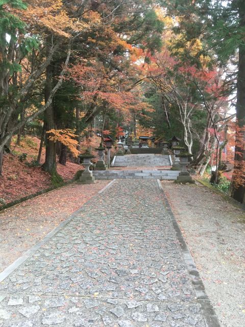 Walking Tour of Takayama - Tour Experience
