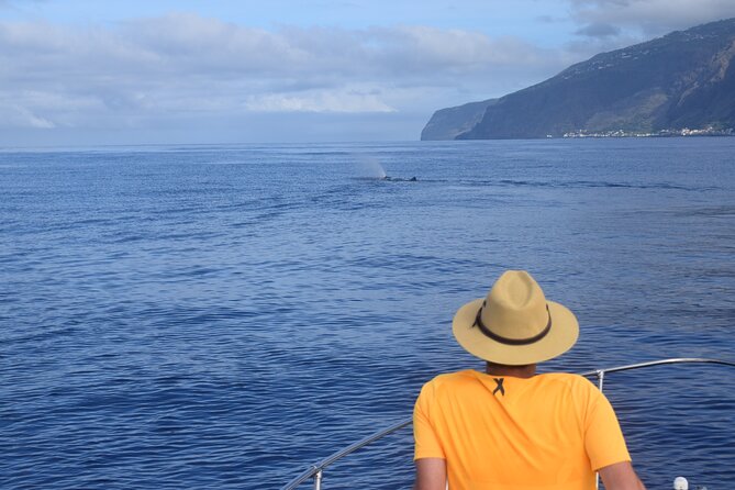 Whale and Dolphin Watching Tour in Madeira - Weather and Cancellation Policy