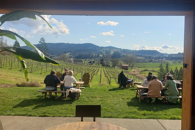 Willamette Valley Wine Tour With Lunch - 387 Positive Reviews