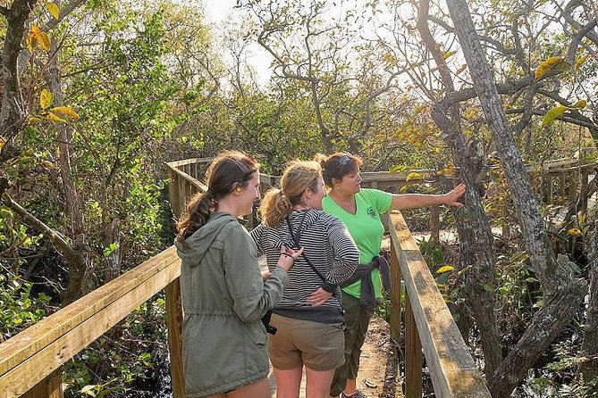 1-Hour Air Boat Ride and Nature Walk With Naturalist in Everglades National Park - Cancellation Policy