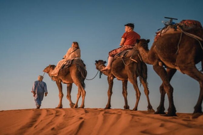 2 Nights in Luxury Camp & Camel Trekking in Merzouga Desert - Sandboarding Adventure