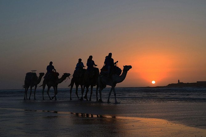 3 Hours Ride on Camel at Sunset - Meeting Point and Transfer