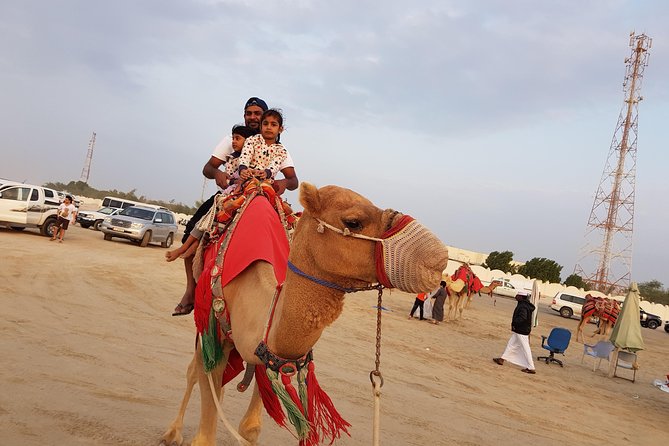 4 Hour Desert Safari, Camel Ride & Inland Sea Beach - Included Amenities and Services