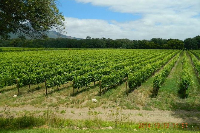 African Story Wine Tours in the Cape Winelands - Pickup and Transportation Details
