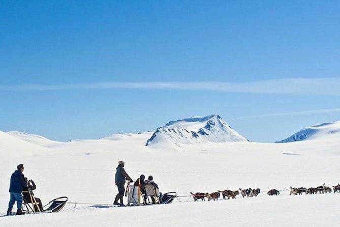 Alaska Helicopter and Glacier Dogsled Tour - ANCHORAGE AREA - Policies and Regulations