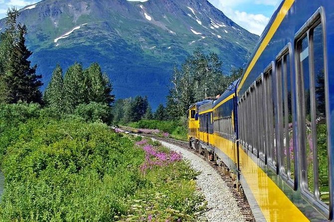 Alaska Railroad Anchorage to Seward Round-Trip Same Day Return - Pricing and Lowest Price Guarantee