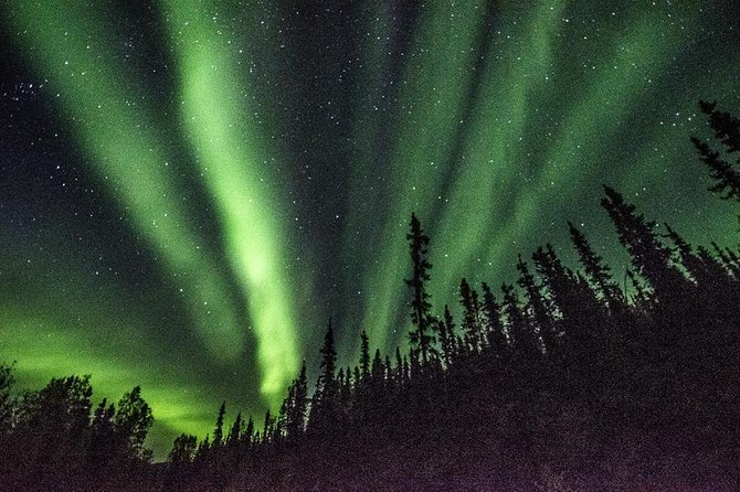 Arctic Circle and Northern Lights Tour From Fairbanks - Dalton Highway Journey