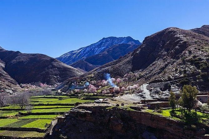 Atlas Mountains and Three Valleys & Waterfalls With Camel Ride Guided Day Trip - Exploring Berber Customs