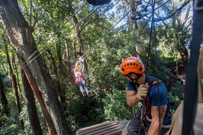 Big Island Kohala Canopy Zipline Adventure - Convenient Meeting and Pickup