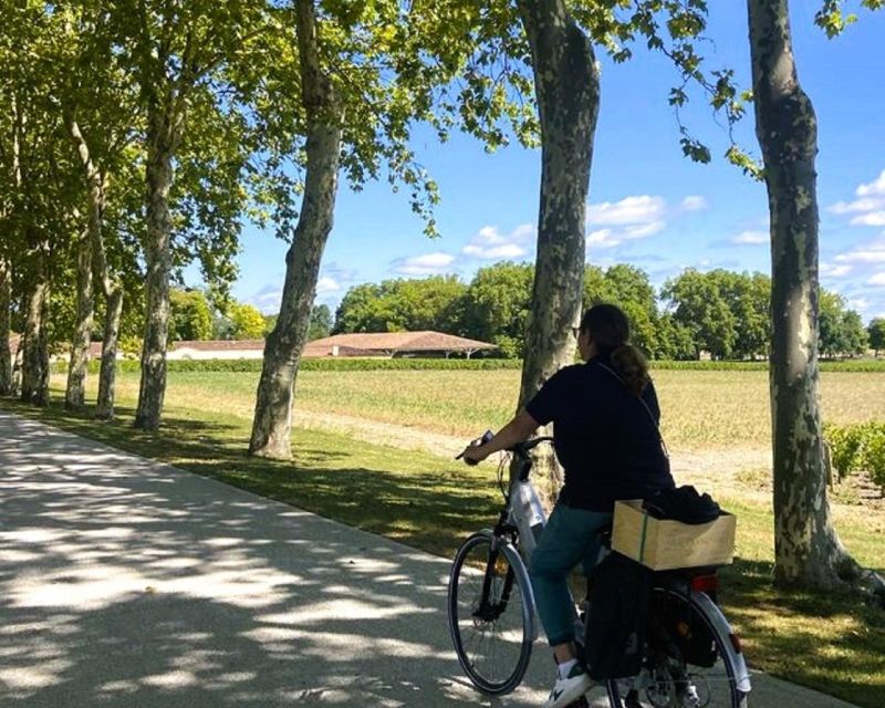 Bordeaux: St-Emilion Vineyards E-Bike Tour With Wine & Lunch - Preparing for the Tour