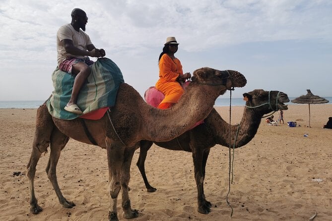 Camel Ride in Tanger - Camel Ride Experience