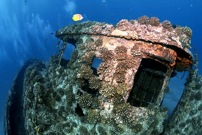 Certified Diver:2-Tank Deep Wreck and Shallow Reef Dives off Oahu - Cancellation and Departure Policy