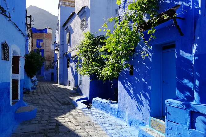Chefchaouen Private Full Day Excursion & Panoramic of Tangier - Exploring Chefchaouens Medina