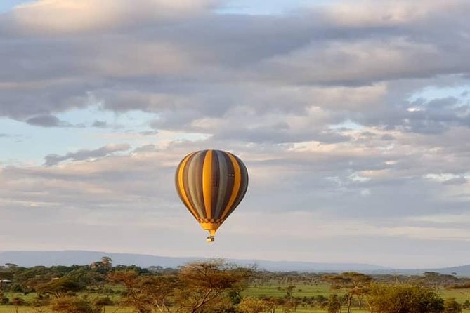 Classic Balloon Safari & Breakfast in Serengeti & Tarangire - Participant Restrictions and Requirements