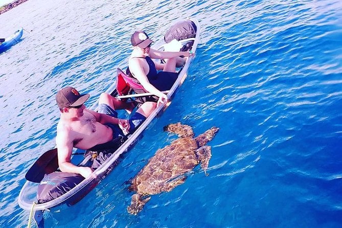 Clear Kayak and Snorkel Tour at Turtle Town, Makena - Meeting and End Point