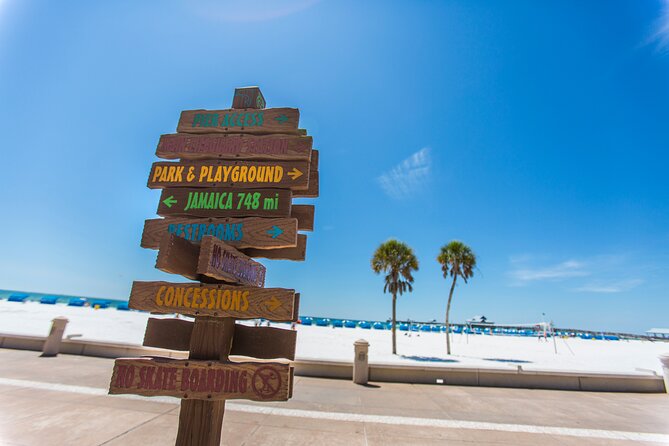 Clearwater Beach Dolphin Speedboat Adventure With Lunch & Transport From Orlando - Round-trip Transportation Provided