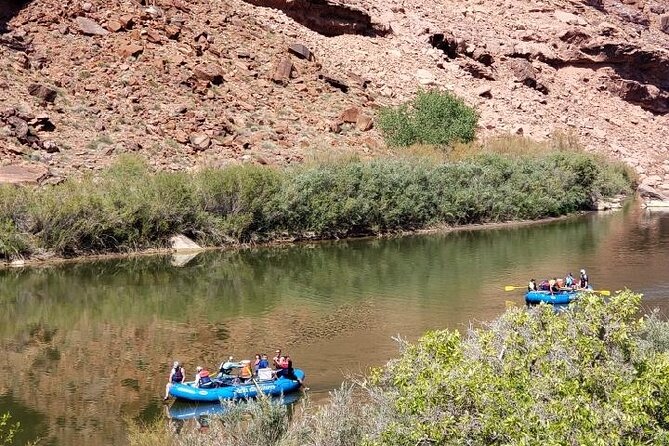 Colorado River Rafting: Half-Day Morning at Fisher Towers - Restrictions and Accessibility