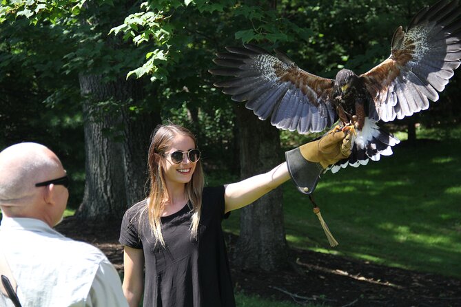 Colorado Springs Hands-On Falconry Class and Demonstration - Guided by Licensed Falconer