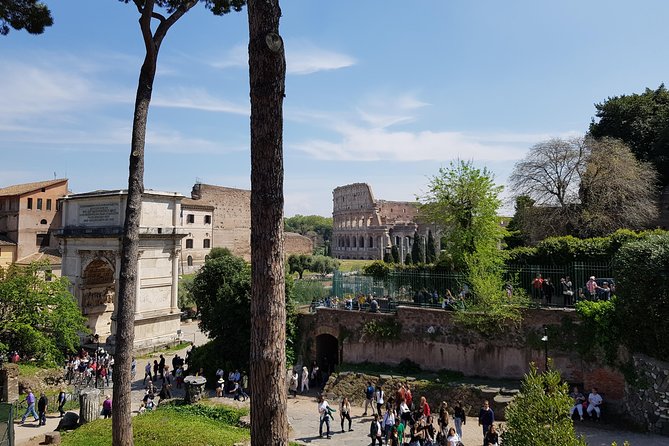 Colosseum Arena Floor, Roman Forum and Palatine Hill Guided Tour - Highlights of the Tour