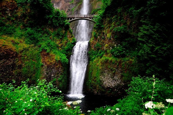 Columbia River Gorge Waterfalls & Mt Hood Tour From Portland, or - Highlights of the Tour