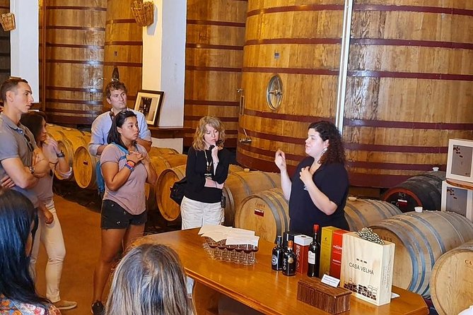 Complete Douro Valley Wine Tour With Lunch, Wine Tastings and River Cruise - Tasting the Douro Valley Wines