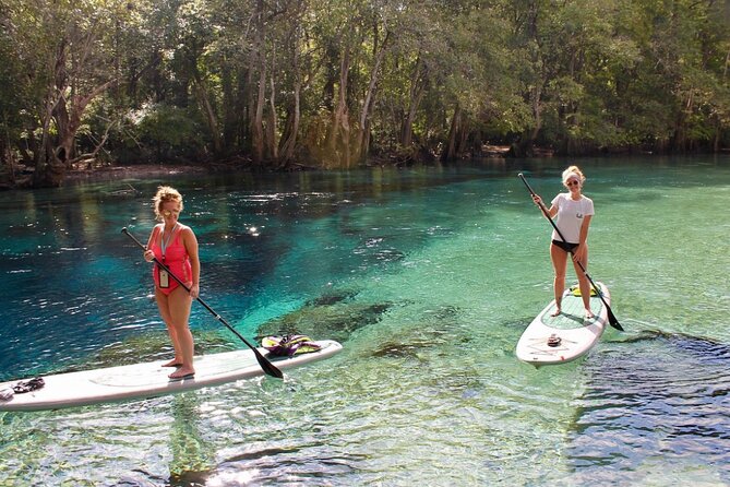 Cypress Springs Eco Adventure - Booking and Cancellation