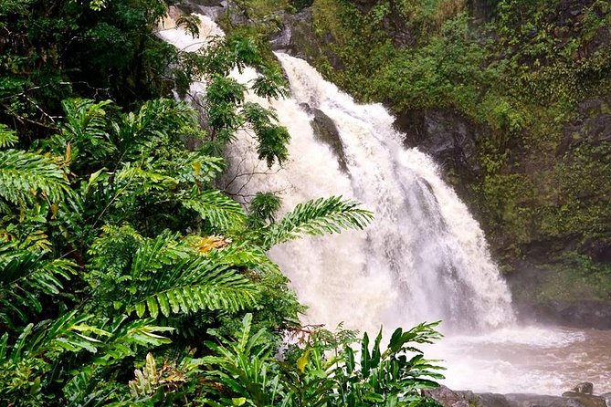 Deluxe Halfway to Hana: Private Tour From Kahului - Private Tour Experience