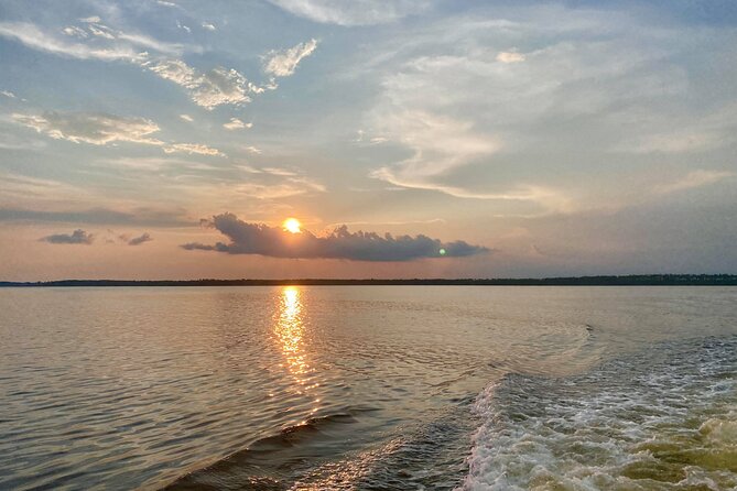 Dolphin and Nature Sunset Cruise From Orange Beach - Learning About the Ecosystem