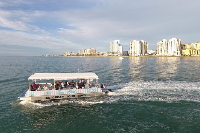 Dolphin Boat Tour in Clearwater Beach With Free Ice Cream - Negative Reviews