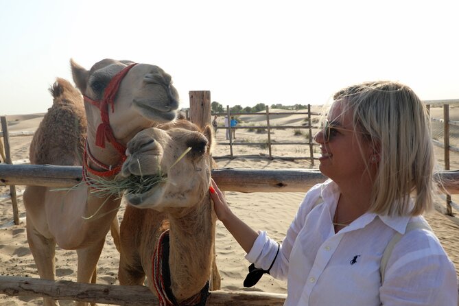Dubai: Al Marmoom Oasis Vintage Safari With Camels, Stargazing & Bedouin Dinner - Vintage Mercedes Safari