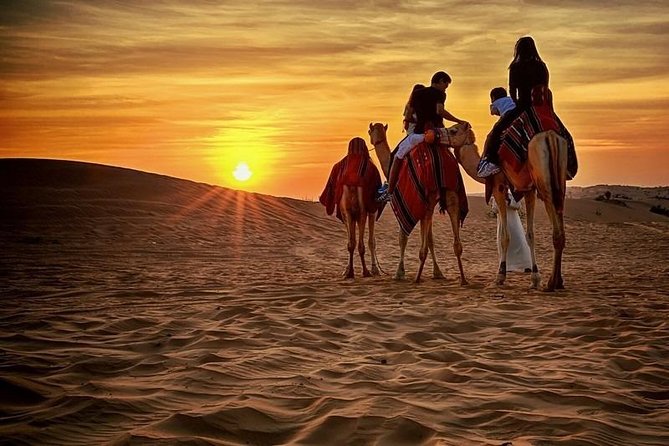 Dubai Desert Safari With BBQ, Quad Bike And Camel Ride - Inclusions and Whats Provided