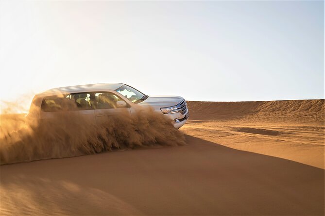 Dubai Half-Day Red Dunes Bashing With Sandboarding, Camel &Falcon - Cancellation and Weather Policy