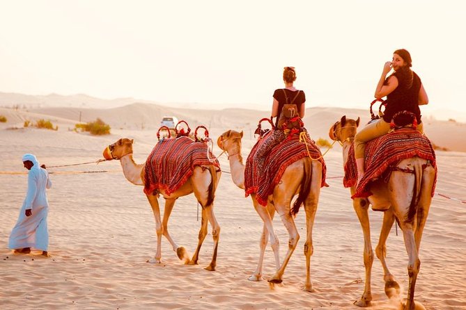 Dubai Red Dunes Desert Safari, With BBQ, Camel Ride, Sand Boarding And Much More - Adventure Activities