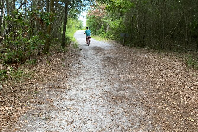 Electric Bike Tours in Amelia Island - Trail Highlights and Experiences