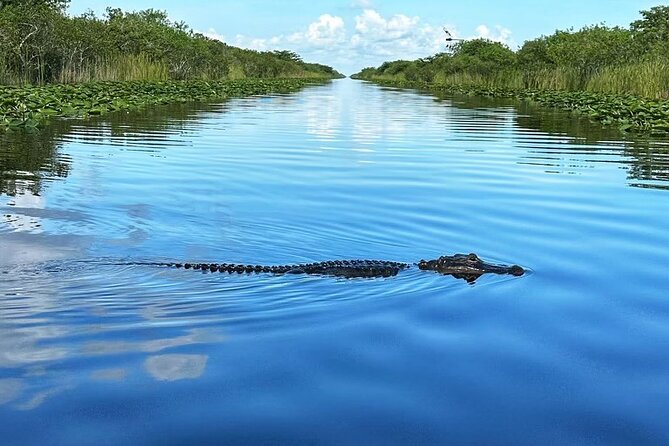Everglades Tour From Miami With Transportation - Multilingual Commentary