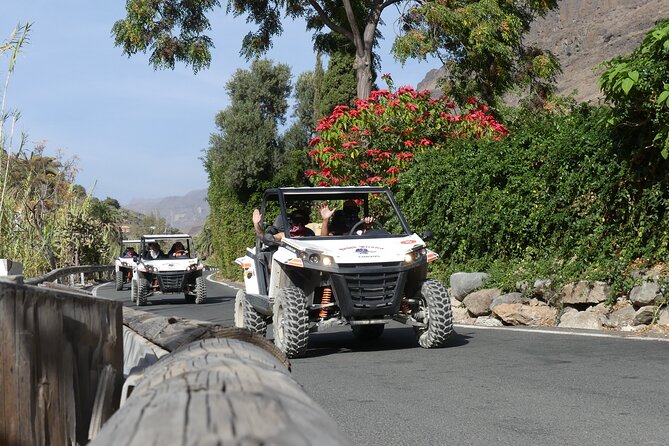 EXCURSION IN UTV BUGGYS ON and OFFROAD FUN FOR EVERYONE! - Group Size and Duration