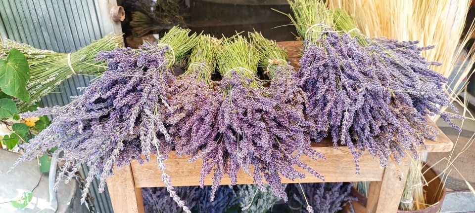 From Aix-en-Provence: Luberon Park Lavender Season Tour - Guided Exploration