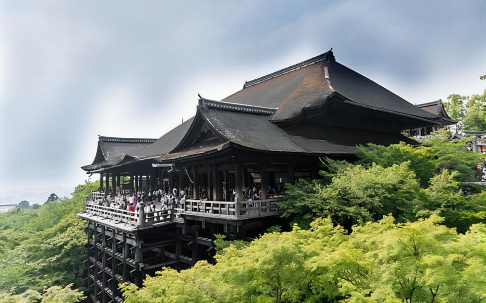 From Osaka: 10-hour Private Custom Tour to Kyoto - Accessibility