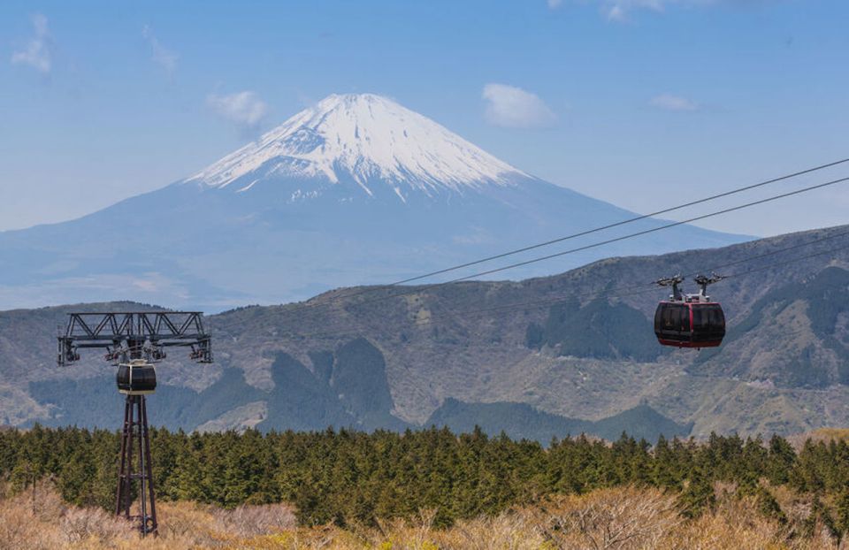 From Tokyo: Hakone and Owakudani Private Day Trip - Customizing Your Itinerary