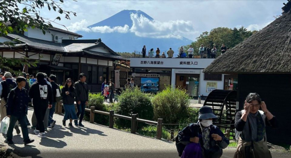 From Tokyo: Mt. Fuji or Hakone Sightseeing Private Day Tour - Arakura Fuji Sengen Shrine and Chureito Pagoda