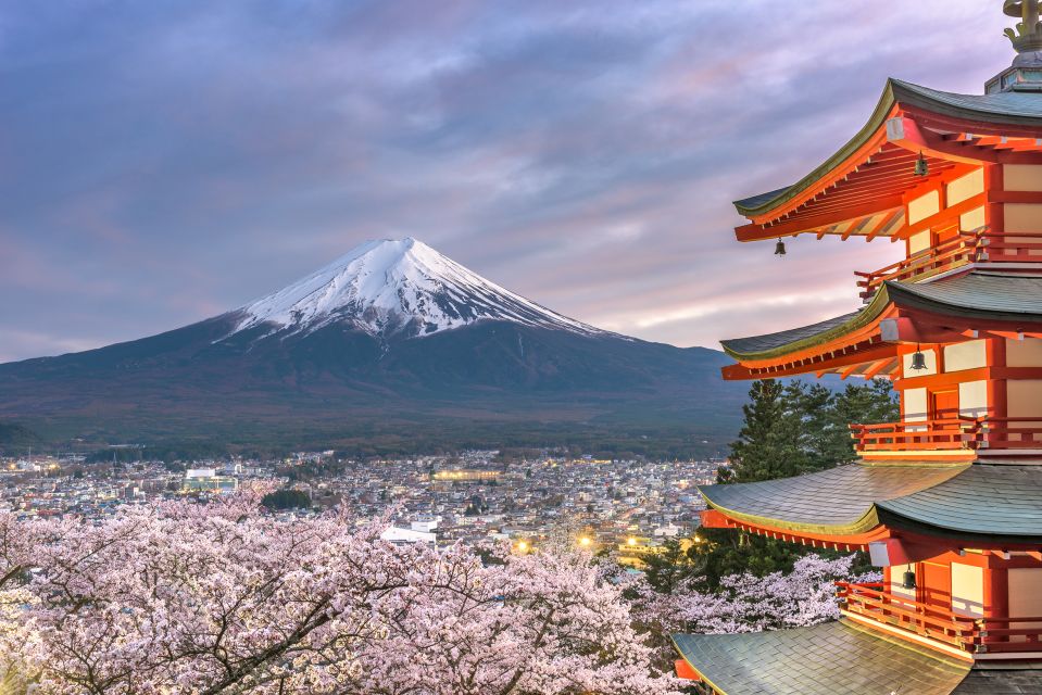 From Tokyo: Private Sightseeing Tour to Mount Fuji & Hakone - Sightseeing Highlights
